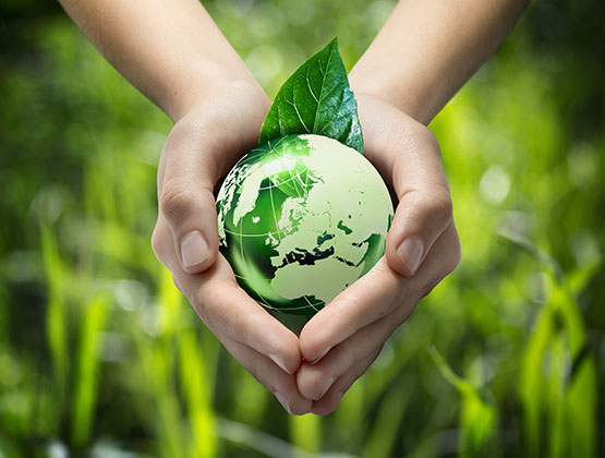 go get green best western rewards