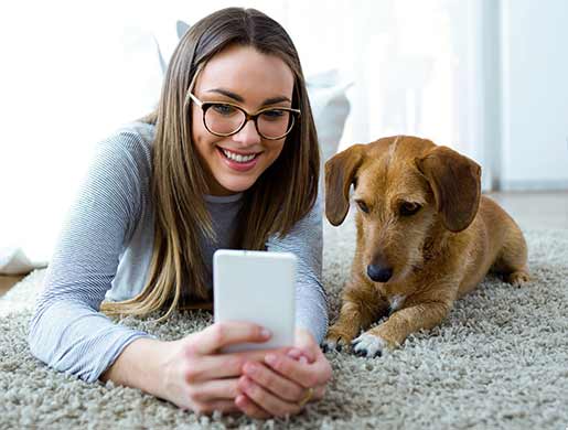 PET HOTEL: un soggiorno pensato per il tuo amico a 4 zampe