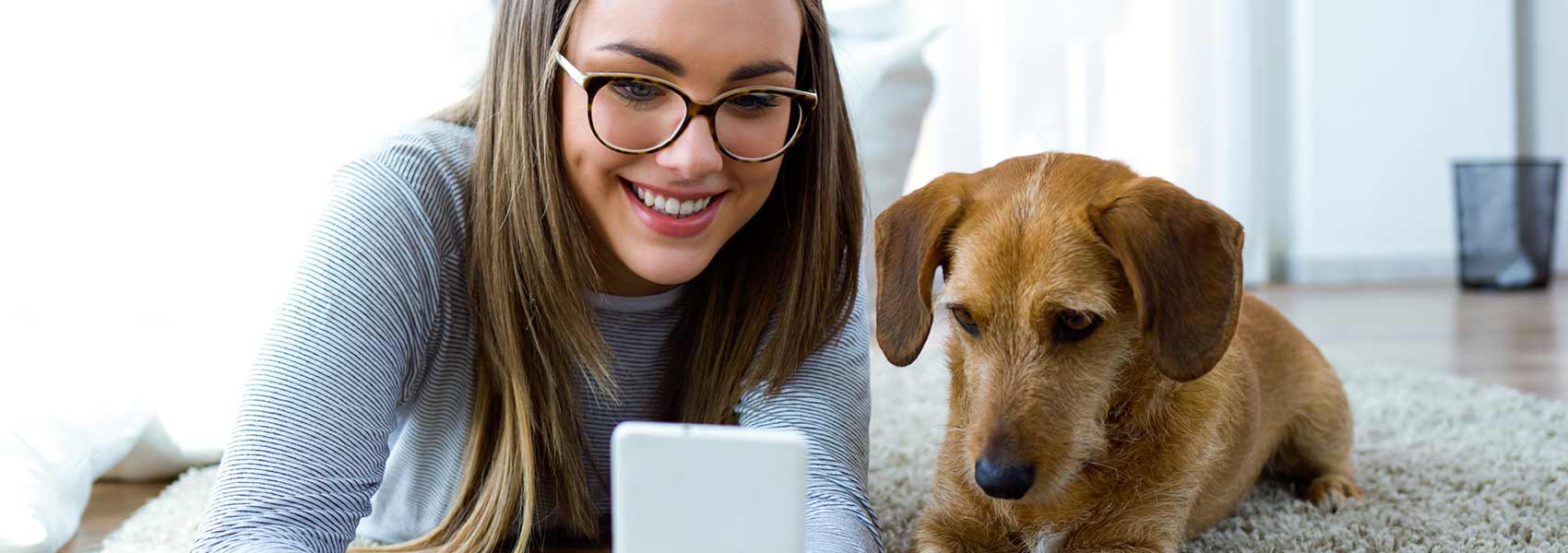 Pet Hotel Best Western